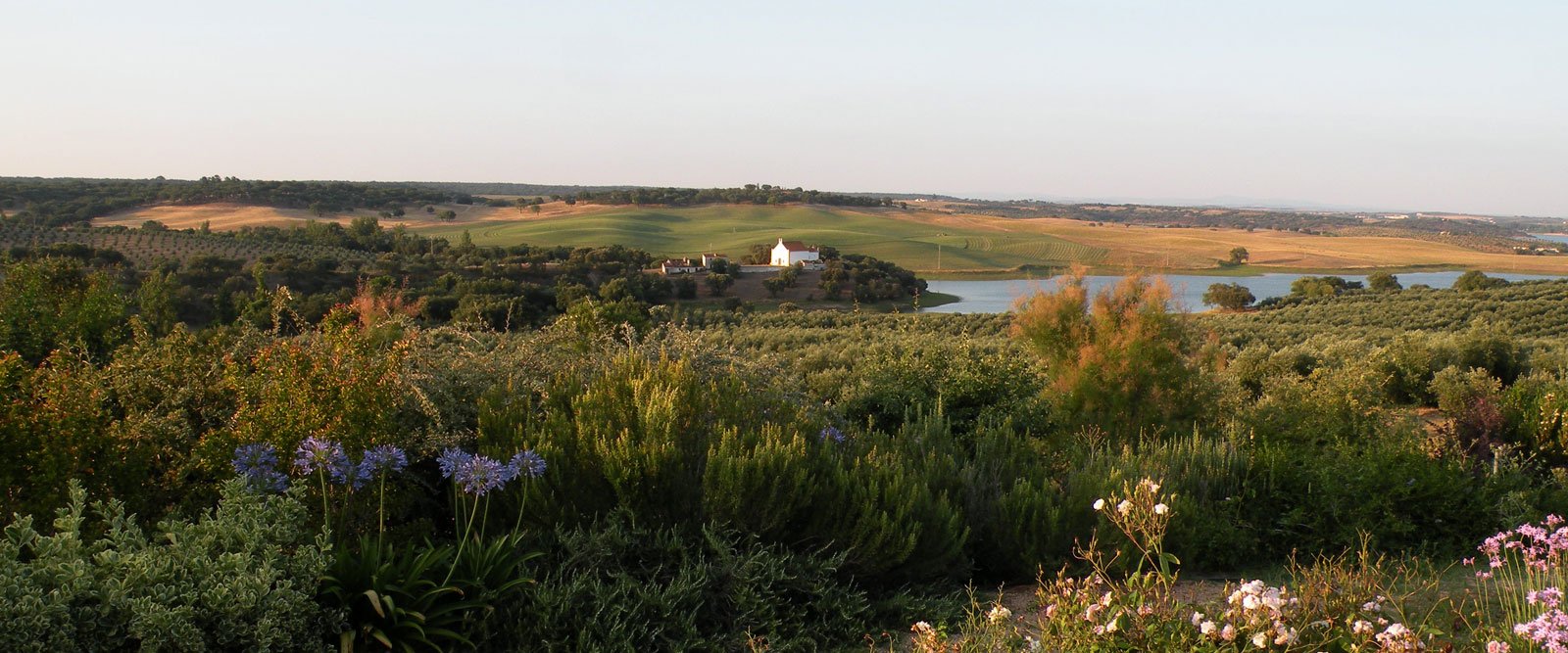 Vista geral da herdade — capelinha, lago, olival e vinha ao entardecer